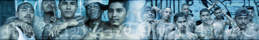 overheader7ipcw.png